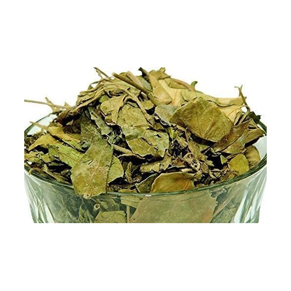 AOZA Organicgreen Herb Gurmar | Feuilles de Gudmar sèches – 200 g | MADHUNASHINI/Sirukurinjan | Podapatri | Feuilles de Madhu