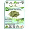 AOZA Organicgreen Herb Gurmar | Gudmar | Gymnema Sylvestere | Sec 100 g