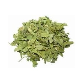 AOZA Organicgreen Herb Gurmar | Gudmar | Gymnema Sylvestere | Sec 100 g