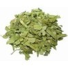 AOZA Organicgreen Herb Gurmar | Gudmar | Gymnema Sylvestere | Sec 100 g