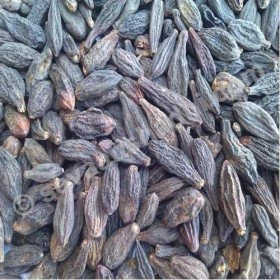 Verem Harad Choti – 200 g – Haritaki – Terminalia Chebula, 100 % naturel