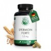 Spermidine forte de blé | 90 gélules | Hautement dosé | Végétalien | 5,5 mg par gélule | 3 mois dapprovisionnement | Green N