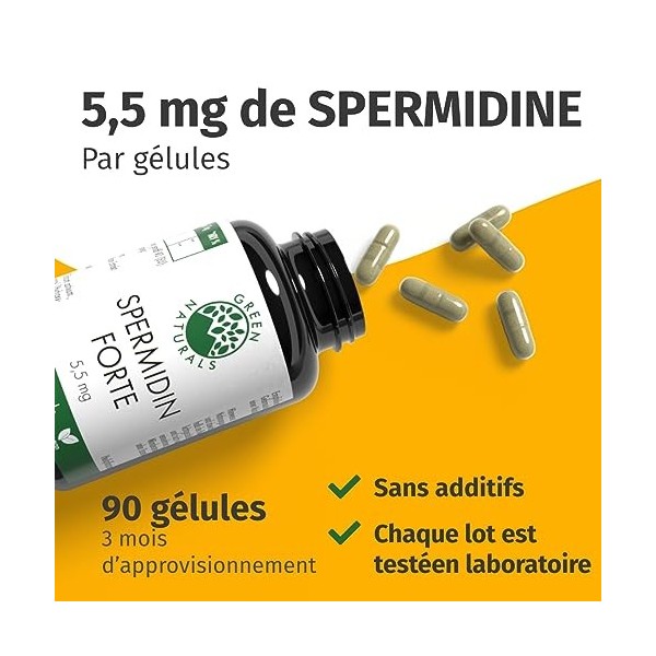 Spermidine forte de blé | 90 gélules | Hautement dosé | Végétalien | 5,5 mg par gélule | 3 mois dapprovisionnement | Green N