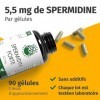 Spermidine forte de blé | 90 gélules | Hautement dosé | Végétalien | 5,5 mg par gélule | 3 mois dapprovisionnement | Green N