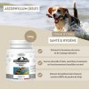 Kelp en poudre 100g pour chien et chat