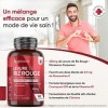 Levure de Riz Rouge 250mg, 180 Gélules Vegan & Sans Citrinine 6 Mois - Avec 2.9mg de Monacoline K - Enrichie en CoQ10 & Vit