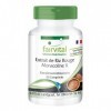 Fairvital | Extrait de Riz rouge 150mg - haut dosage - avec 2,95mg de monacoline K - Vegan - 60 comprimés