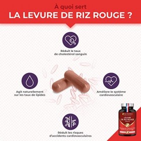 LEVURE DE RIZ ROUGE Premium - Dosée en Monacoline K 2,8 mg - Enrichie en Coenzyme Q10 & Phytostérols de Pin Brevetés Lipophyt