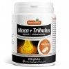 Maca, Tribulus- 448 mg - 200 gélules