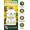 Millepertuis BIO | Concentré en Hypericine | Déprime, Bonne humeur, Anti-stress, Sommeil | 90 gélules vegan de 350mg | Qualit