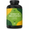 Millepertuis Naturel 200 gélules Fort: 1,35 mg Hypericine - 3.600mg par gelule Extrait 8:1 - Avec des Vitamines B6, B12 &