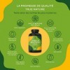 Millepertuis Naturel 200 gélules Fort: 1,35 mg Hypericine - 3.600mg par gelule Extrait 8:1 - Avec des Vitamines B6, B12 &