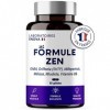 FORMULE ZEN | GABA, Griffonia, Millepertuis, Mélisse, Rhodiola, Vitamine B6 | Anti Stress Naturel | 30 jours de Relaxation | 