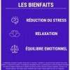 FORMULE ZEN | GABA, Griffonia, Millepertuis, Mélisse, Rhodiola, Vitamine B6 | Anti Stress Naturel | 30 jours de Relaxation | 