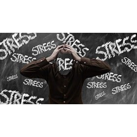 Millepertuis | Hypericine + Flavonoïdes | Relaxation + Humeur + Aide Dormir | Equilibre & Bien Etre Emotionnel | Sans Additif