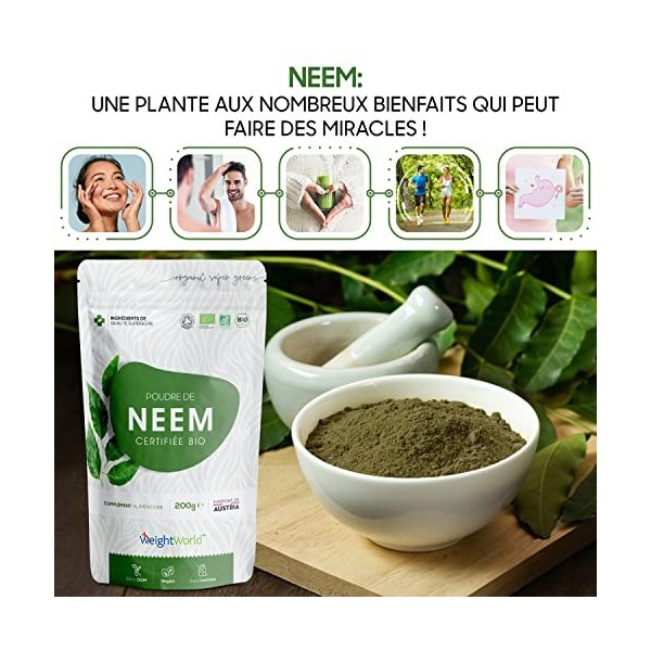 Neem Bio en Poudre Vegan, 200 g - Feuille de Margousier Bio 100 % Pur - Source Naturelle de Vitamines B3, B6, B1, B2, C & Min