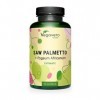 Saw Palmetto 500mg 40:1 + Pygeum Africanum 200mg | Extraits Fortement Dosé | 80% dAcides Gras et 10% de Stérols | Sans Add