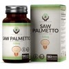 EN Saw Palmetto Supplement | 180 Capsules de Palmier Nain à Haute Teneur - 320 mg par Dose | Palmier nain au zinc | Sans OGM 