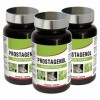 NUTRIEXPERT - Prostagenol - Maintien de la santé du système urinaire et du fonctionnement de la prostate - 60 gélules végétal