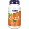 Now Foods, Pygeum & Saw Palmetto Extract Extrait de Palmier Nain , 60 Capsules molles, Testé en Laboratoire, Sans Soja, Sans