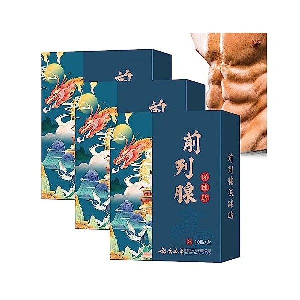 Lot de 2 patchs de prostate japonais à base de plantes, patch de prostate masculin pour homme, patch de soins de la prostate,