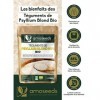 Psyllium Blond Bio 1KG | Téguments Purs 99% | 88% de Fibres, Transit, Sans gluten | Qualité Supérieure