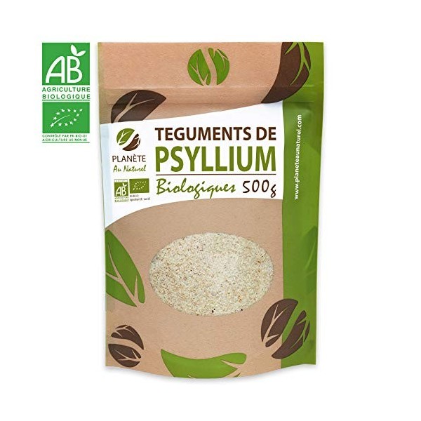 Psyllium Bio téguments - 500 g