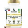 Psyllium Blond BIO, Téguments purs à 99% | 3000mg par jour | 180 gélules de 500mg | Transit, Digestion, Cœur | Qualité Supéri