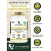 Psyllium Blond BIO, Téguments purs à 99% | 3000mg par jour | 180 gélules de 500mg | Transit, Digestion, Cœur | Qualité Supéri