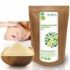 Detox Organica Psyllium Blond Bio Poudre-Tégument de psyllium Organic-500 g - Végétal Riche en Fibres 100% Naturel et Vegan