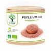 Psyllium Blond Bio - Teguments Dispaghul - Riche en Fibres - Digestion Transit Coupe Faim - 320 mg de Poudre/Gélule - Origin