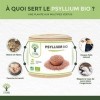 Psyllium Blond Bio - Teguments Dispaghul - Riche en Fibres - Digestion Transit Coupe Faim - 320 mg de Poudre/Gélule - Origin