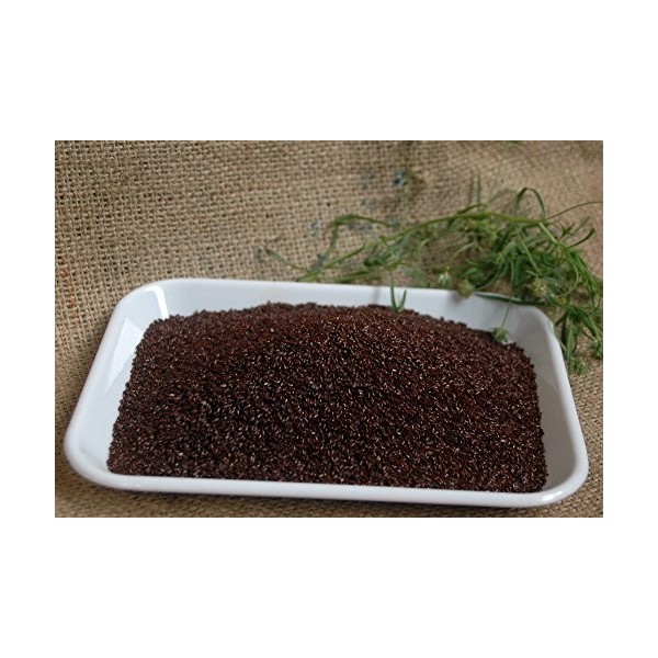 Naturix24 - Psyllium Noir semence 1 Kg