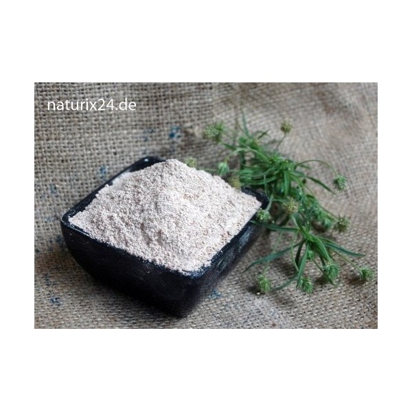 Naturix24 Poudre de psyllium moulue indienne - Sachet de 100 g