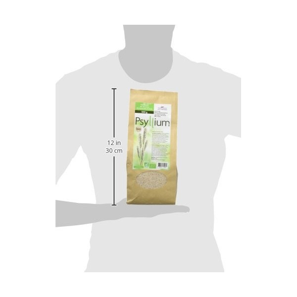 Psyllium blond tégument bio 500 g