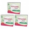 BUYFARMA PROMO Pack - 3 Psyllogel fibre de Psyllium pure à 99 % Goût fraise - Favorise la régularité intestinale - 60 sachets