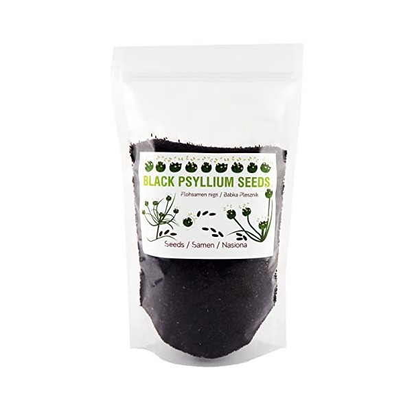 Graines de psyllium noir, pureté à 99,8 %, psylli nigri 800 g