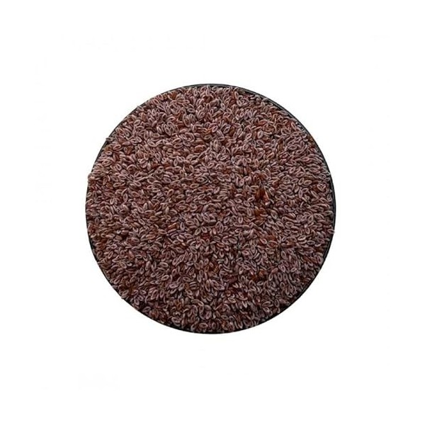 Tisane Ispaghul Psyllium Rose semence 1 KILO Plantago ovata