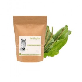 Psyllium cheval - Colique de sable - Contenance: 500 g