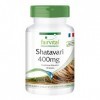 Fairvital | Shatavari 400mg - 180 gélules - Asparagus racemosus - Énergie Ayurveda pour la santé de la femme