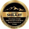 Shilajit pur de lHimalaya, résine douce, résine ayurvédique Shilajit, acide fulvic et acide humique, minéraux, système immun