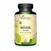 Guggul PREMIUM Vegavero® | 120 Gélules 4 mois | Avec 5% de Guggulstérones | DOSE LA PLUS ELEVEE: 500 mg dExtrait par Gélul