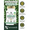 Spiruline BIO Extra Forte, 4500mg par jour | Jusquà 19% Phycocyanine, Séchée à froid | 400 comprimés vegan de 500mg | Vitami