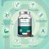 Spiruline BIO 500mg - 600 Comprimés Riche en Protéines, Antioxydants et Fer - Taux Elevé de Phycocyanine - 100% Vegan et Is