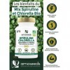 Spiruline et Chlorella BIO | 400 comprimés vegan de 500mg | 4500mg par jour | 17% Phycocyanine, Séchées à Froid | Détox, Anti