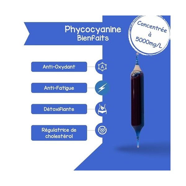 Spiruline Liquide Bleue - Phycocyanine - Cure - Ampoules de 10ml - Fabriqué en France - Concentrée en phycocyanine à 5000mg/l