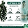 Spiruline Bio Comprimés | Dosage optimal testé 3000mg/jour | Riche en Protéines Végétales 60%, antioxydant, phycocyanine, vit