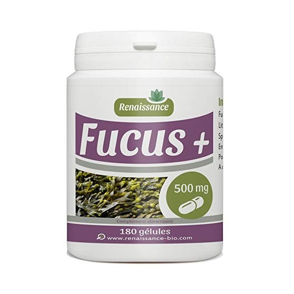 Fucus + 500mg - 180 gélules Fucus - Lithothamne - Spiruline 