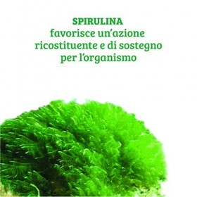 Squishmallows Squishmallow Frau Weihnachtsmann 19 cm Kuscheltiere – Original Squishmallow Klein