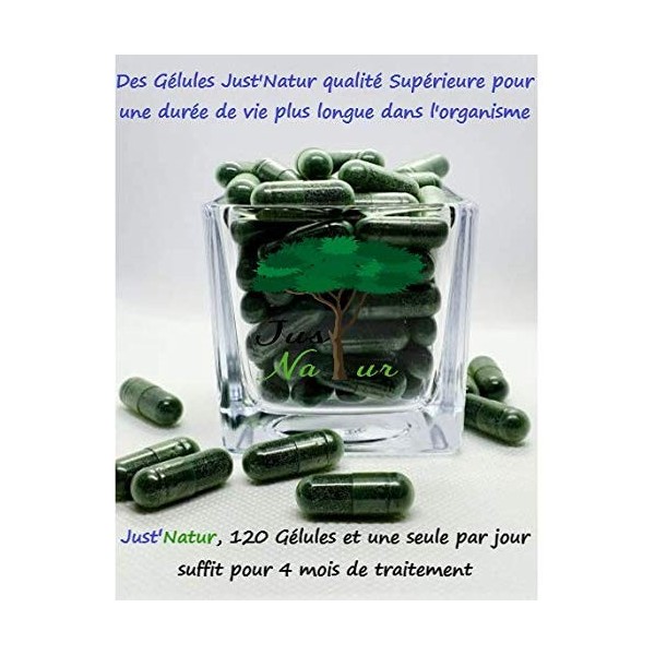 JustNatur-Spiruline 500 mg-Ingrédients Label Qualité Supérieur-Riche en Protéine-Chlorophylle-Phycocyanine-Fer-Caroténoïde 1